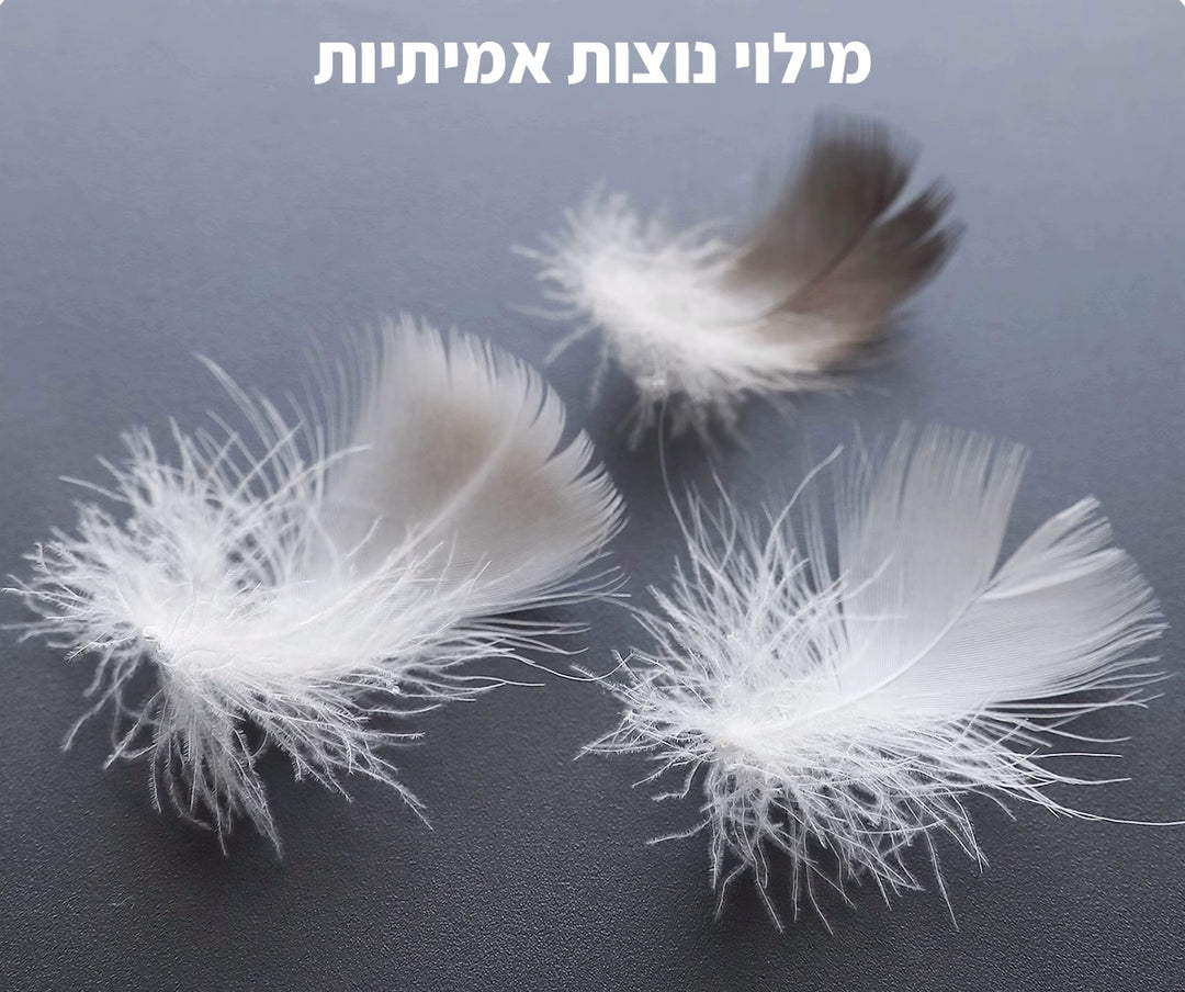 ספה נוצות דגם Sky