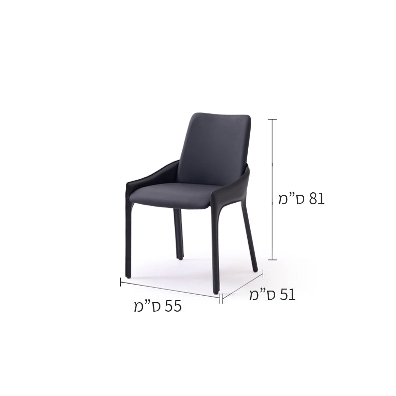 כיסא Twin